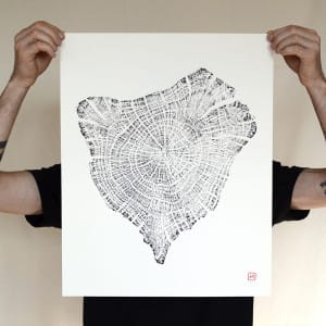 Chêne 03