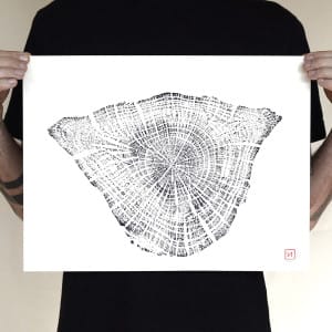 Chêne 05