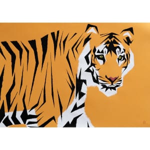 Tigre