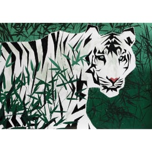 Tigre Blanc