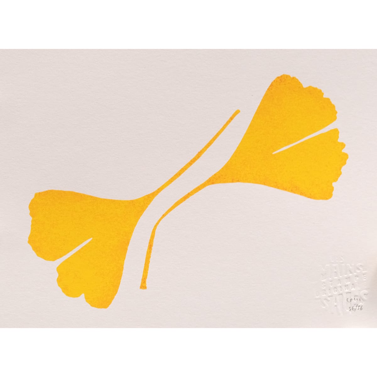 Biloba 2