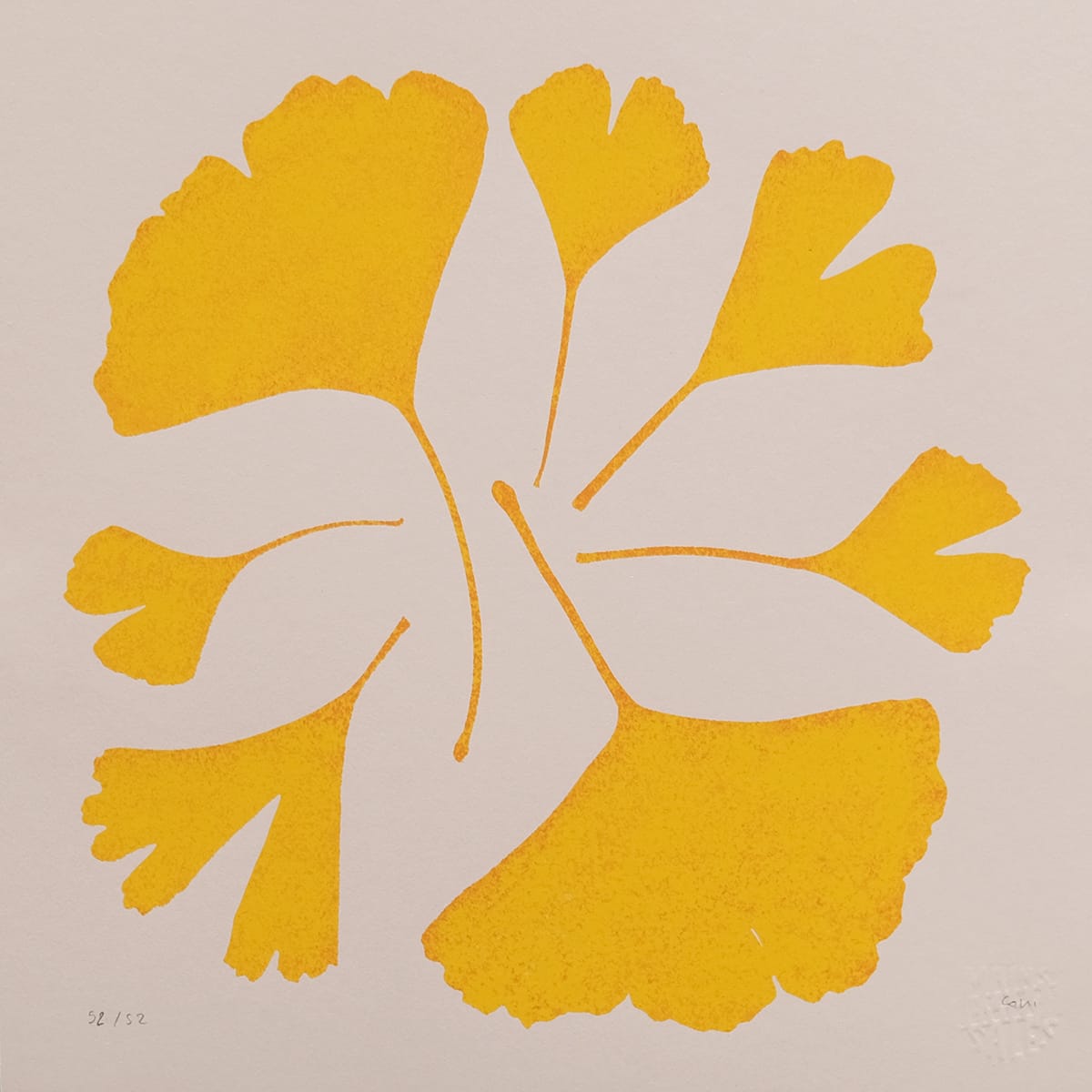 Biloba 7