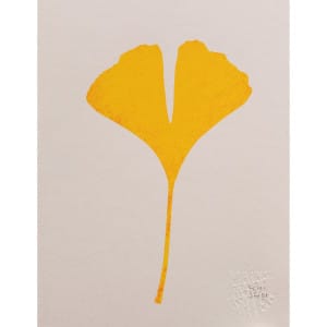 Biloba 1