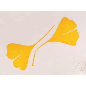 Biloba 2