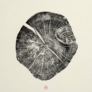 Chêne 13 - Noir