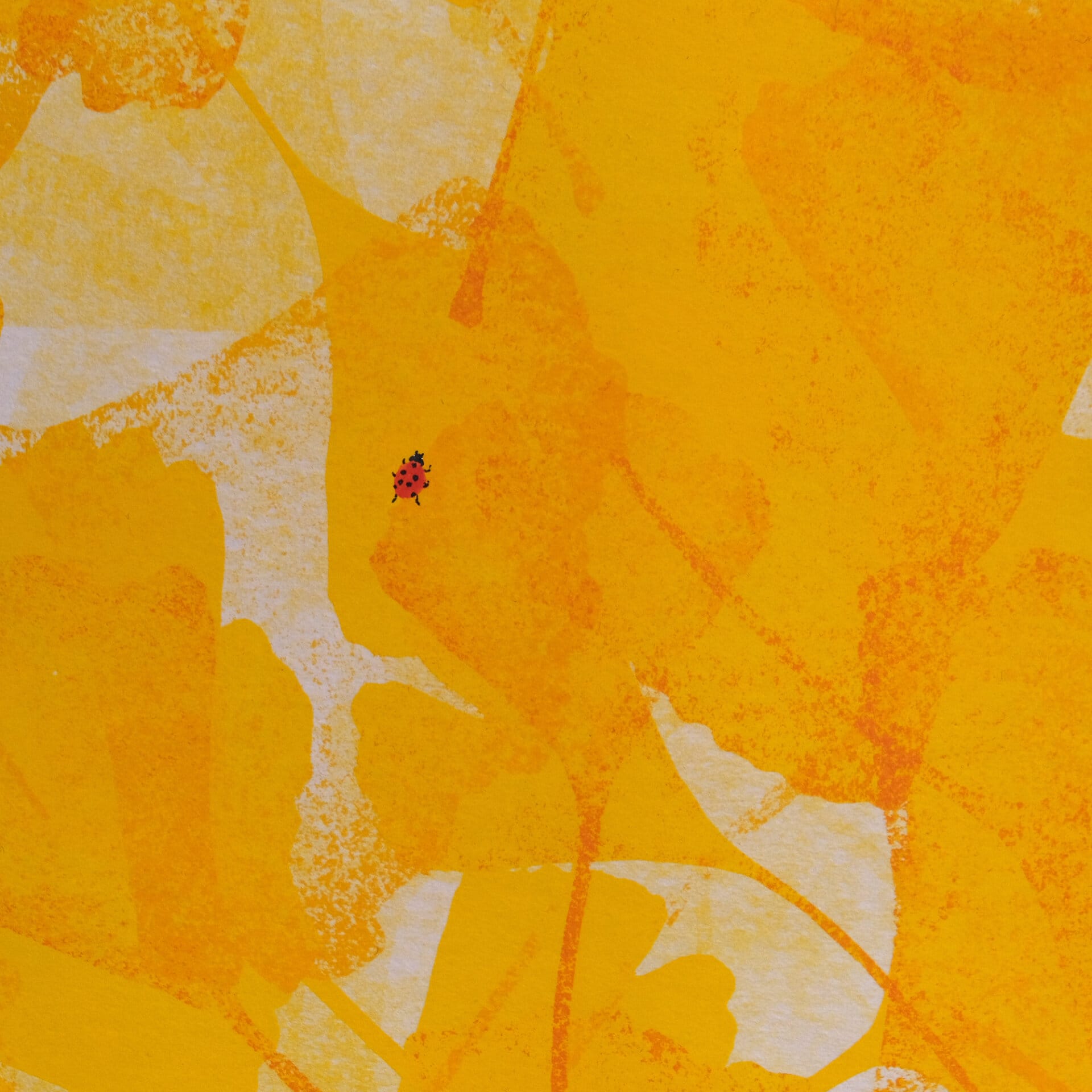 Automne 01 – Image 2