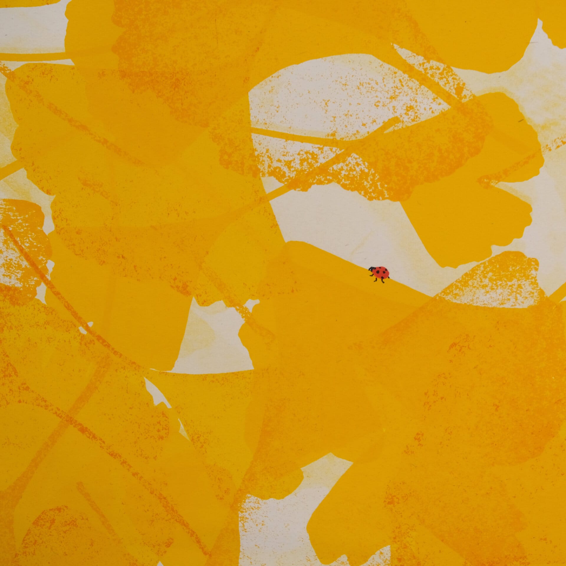 Automne 02 – Image 2