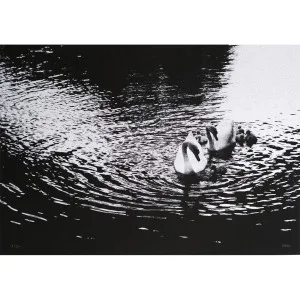 Cygnes