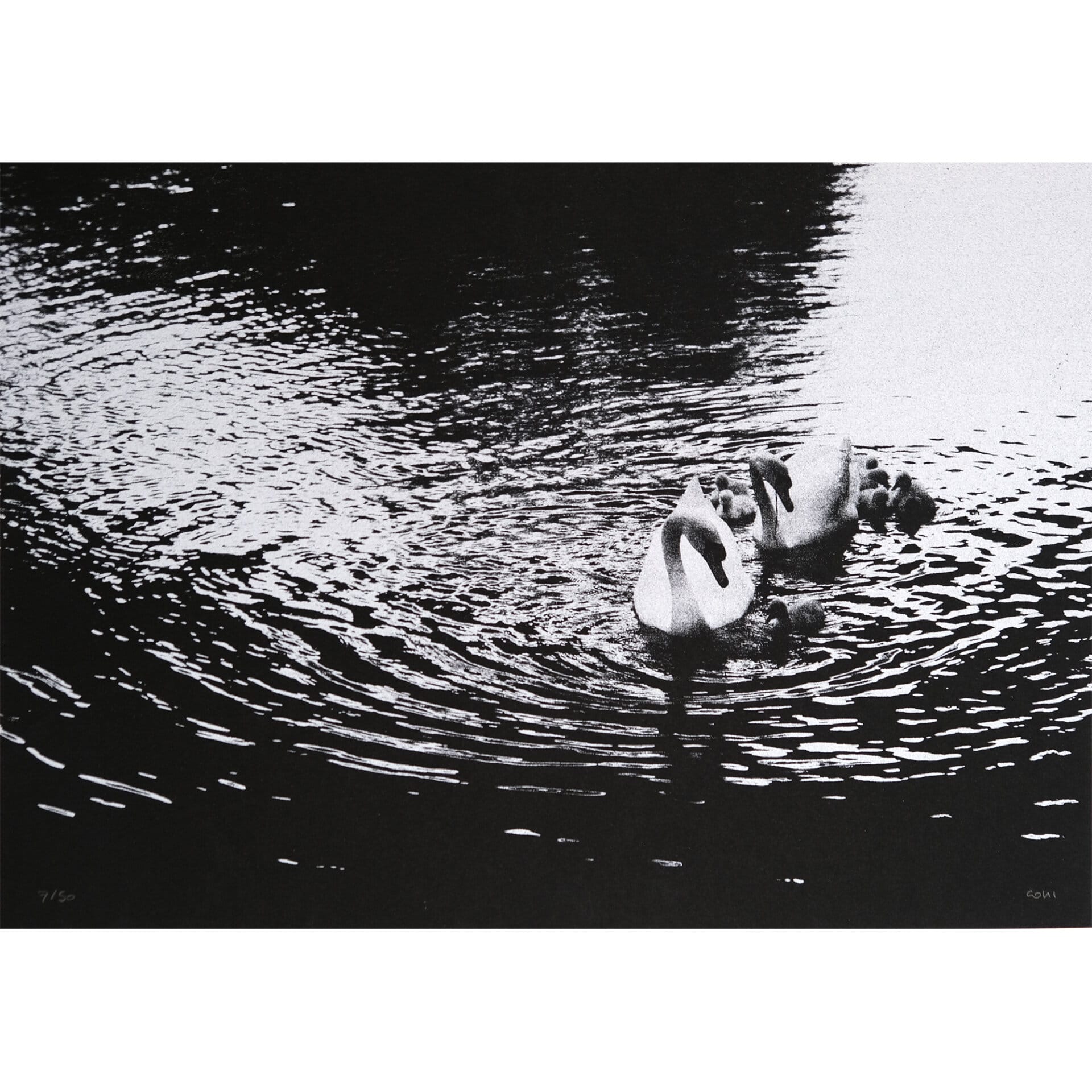 Cygnes
