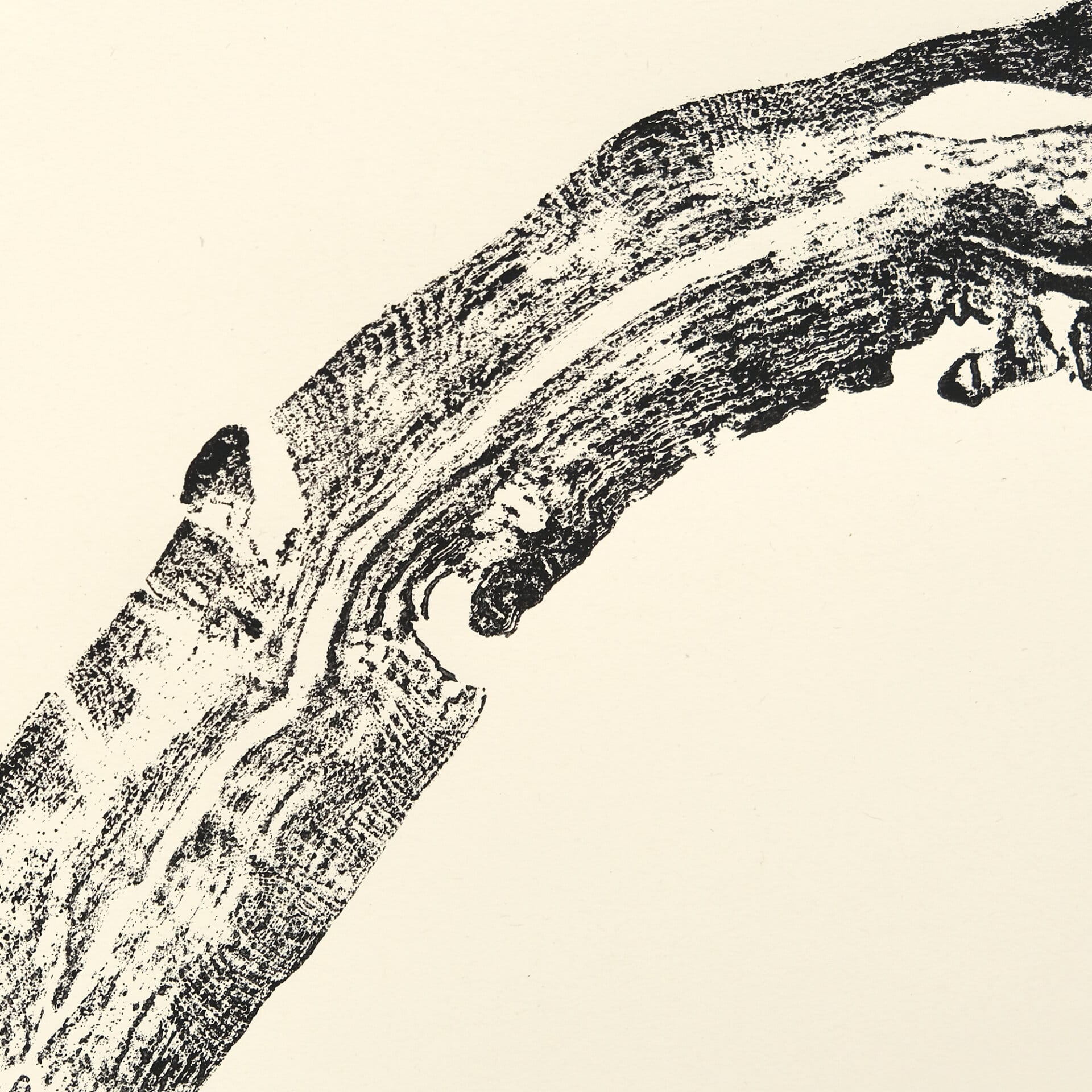 Vigne 02 – Image 2