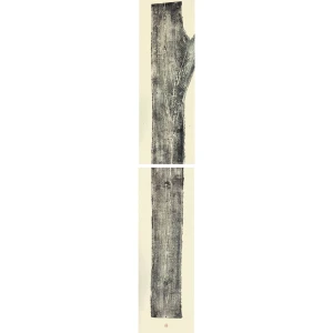 Tilleul 05 - Diptyque