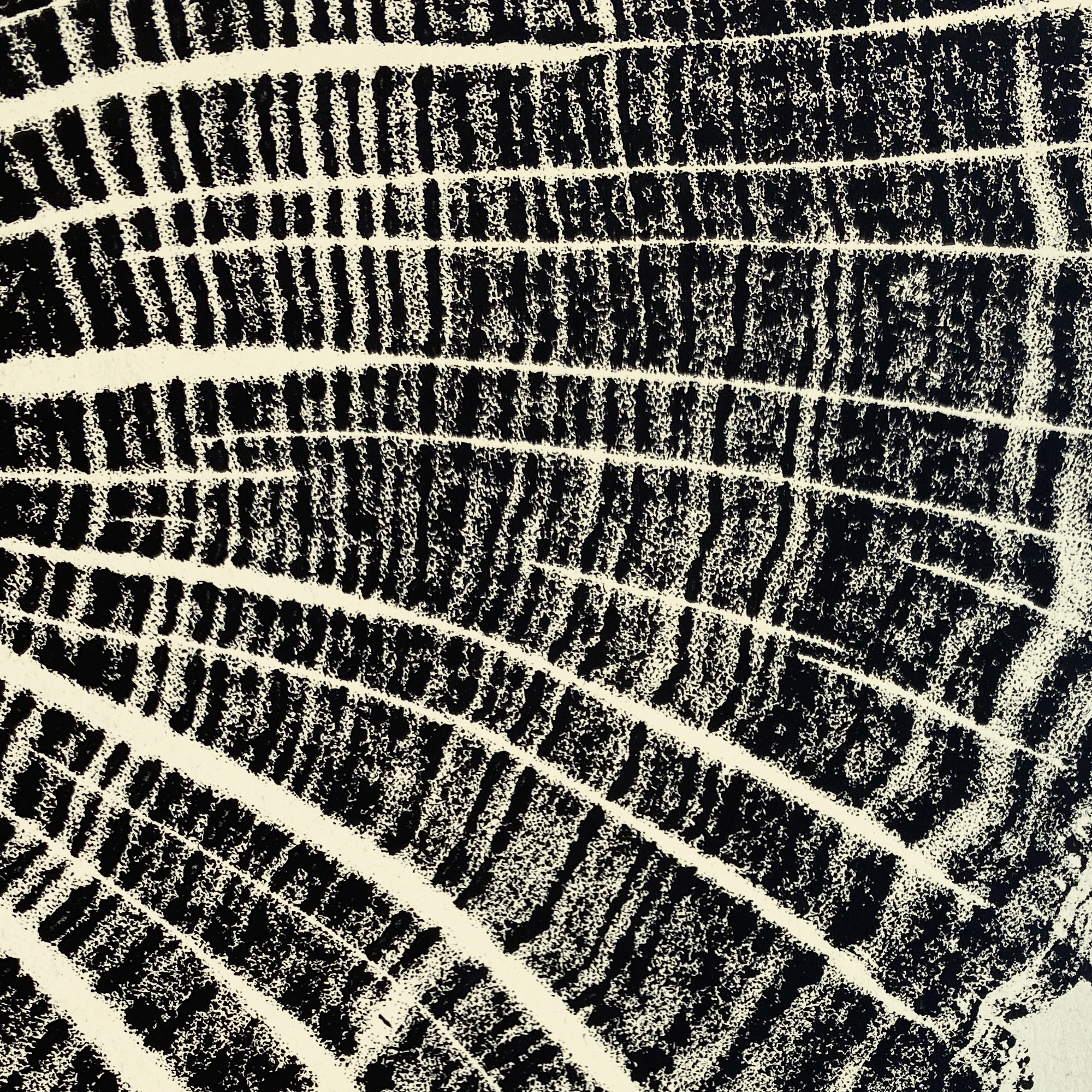 Tilleul 03 – Image 3