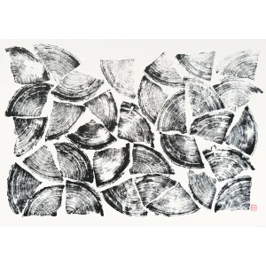 Bûcher 01